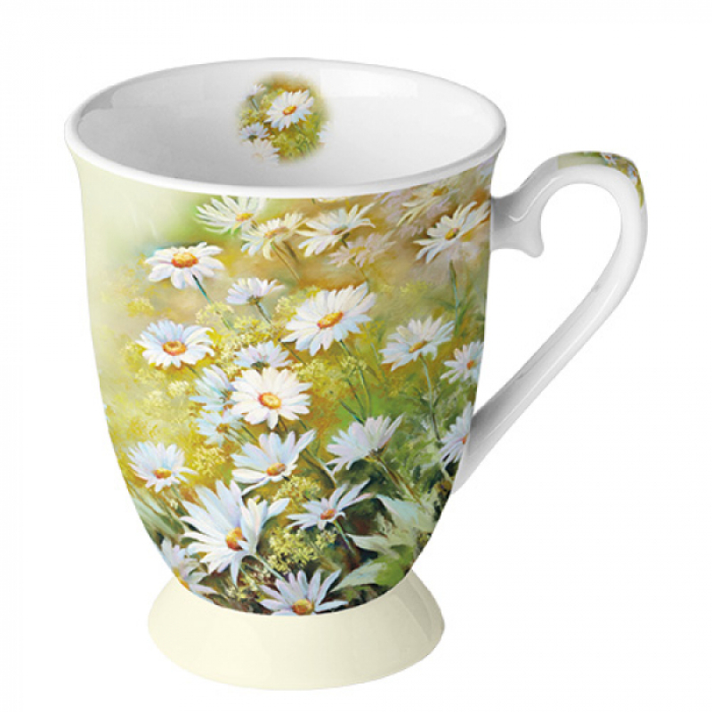 facing the sun, mok op voet